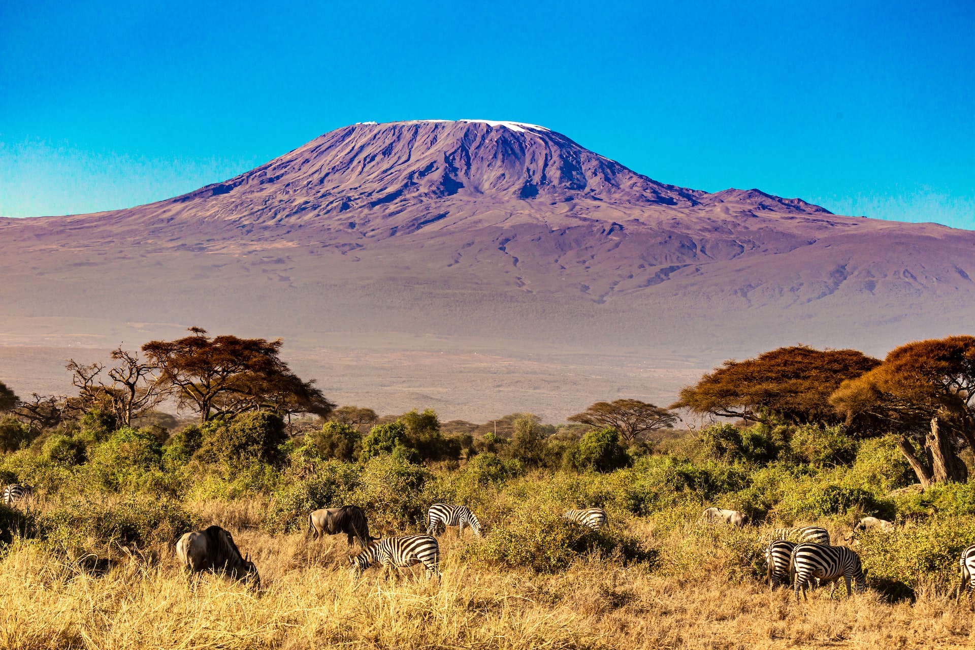 Kilimanjaro cambiamenti climatici