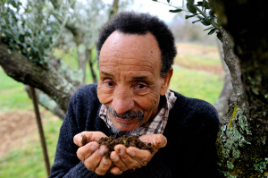Pierre RABHI 2