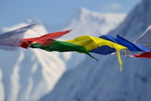 bandiere tibetane