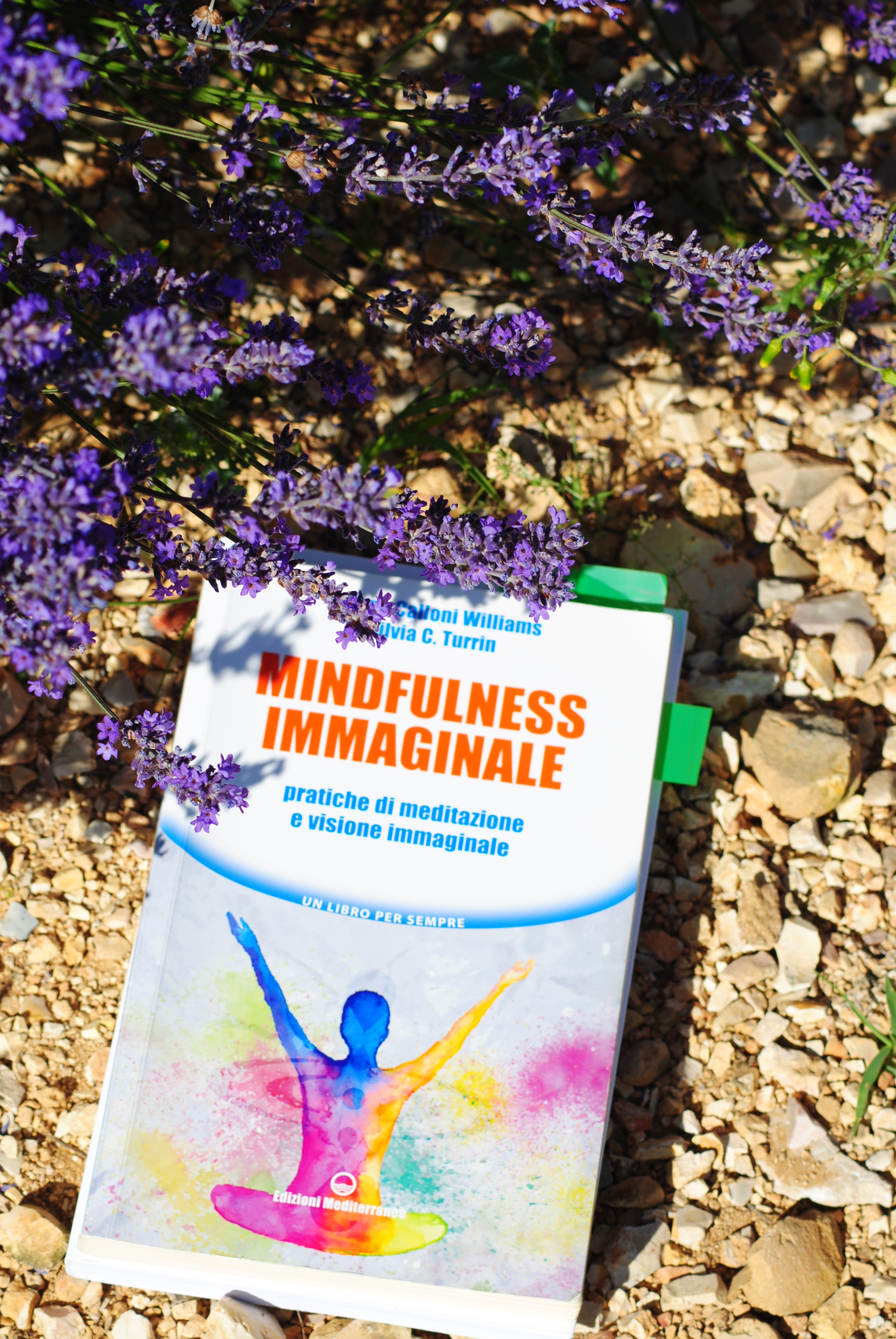Mindfulness Immaginale