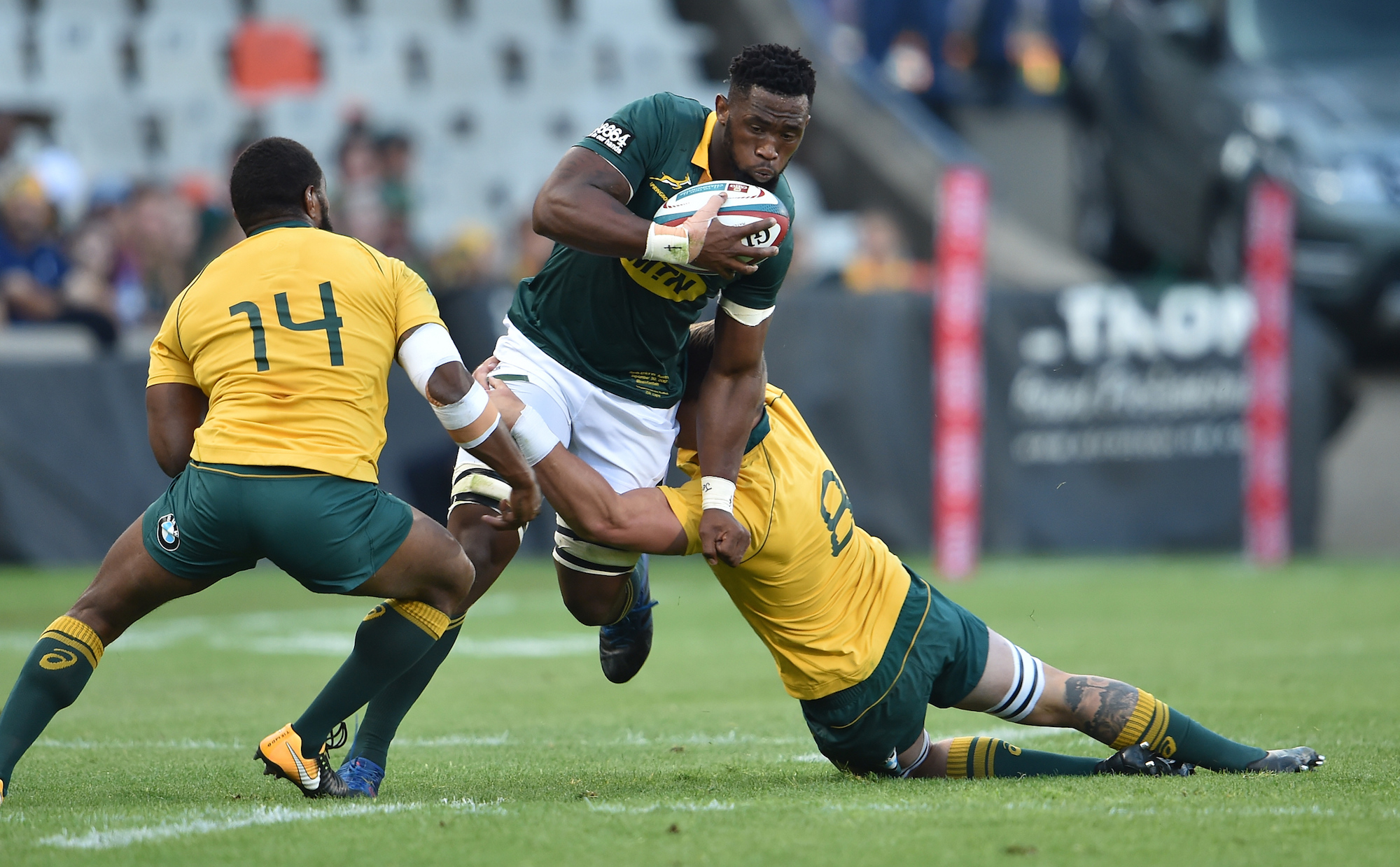 Siya Kolisi Springboks