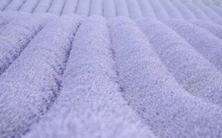 Lavanda Provenza Silvia C. Turrin