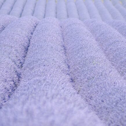 Lavanda Provenza Silvia C. Turrin